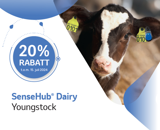 Foto: Kampanje SenseHub Dairy Youngstock vår 2024