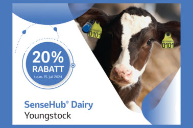 Foto: Thumbnail: Kampanje på SenseHub Dairy Youngstock