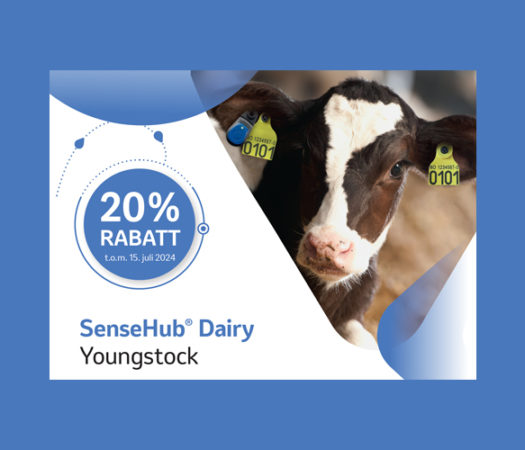 Foto: Toppfoto: Kampanje på SenseHub Dairy Youngstock